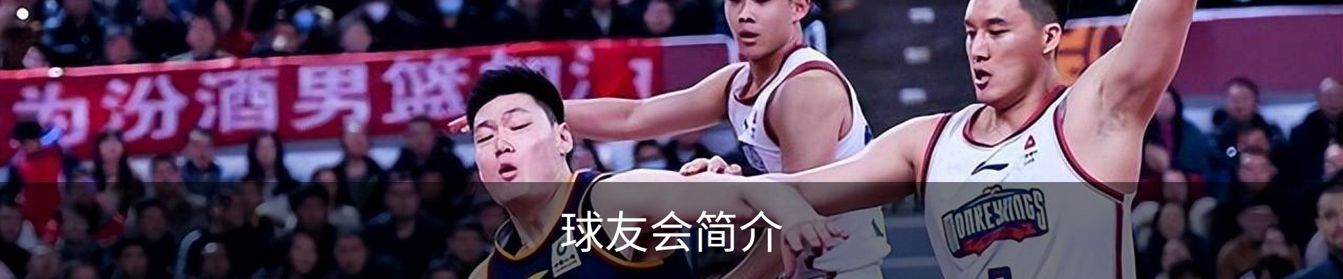 球友会简介